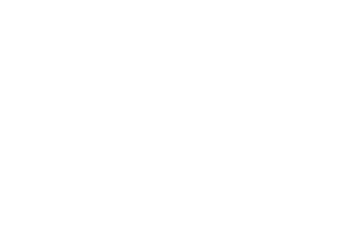 Topp srls logo