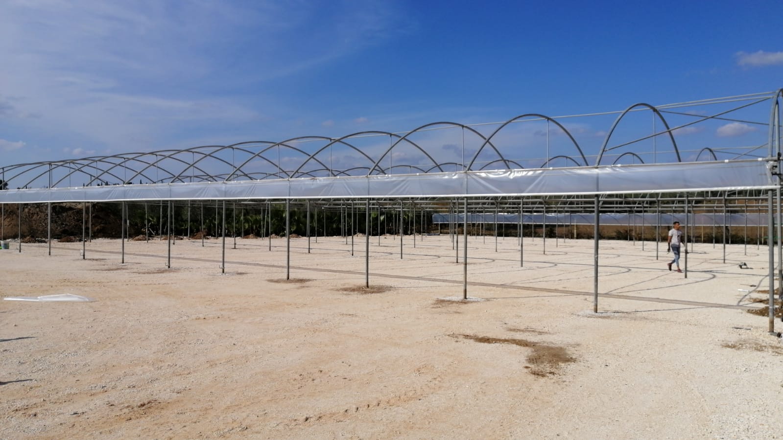 Copertura industriale 1