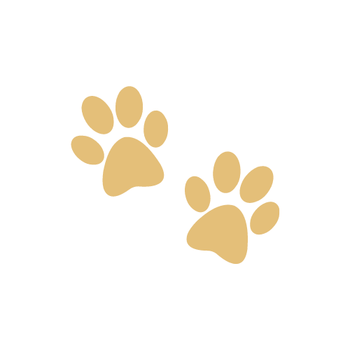 Best Animal Hospital in North Jersey for your Pet. Call us now. Lincoln Avenue Cat & Dog Hospital, Fairlawn, New Jersey