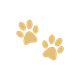 Advanced Veterinarian Procedures for your Pets Orthopedic Health. Call us Now. Animal Hospital of Fairfield, New Jersey