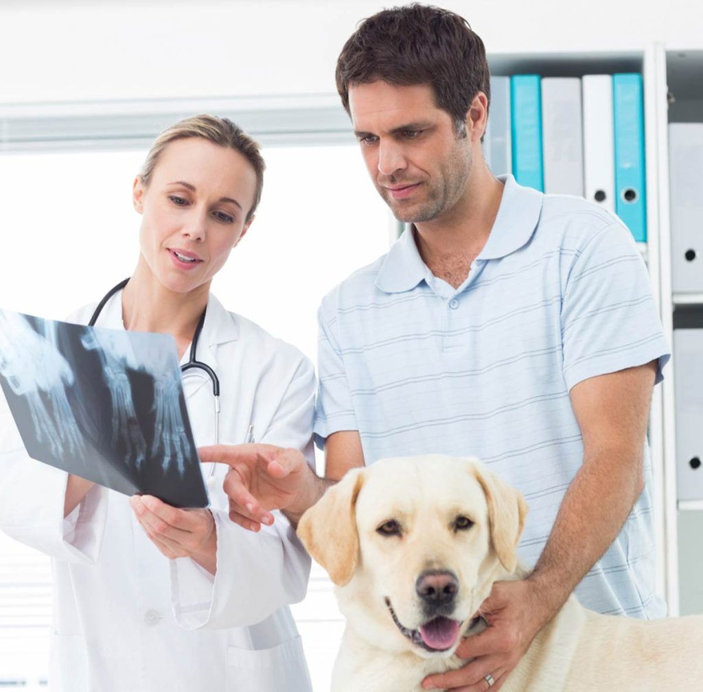 Lincoln Avenue Cat & Dog Hospital offers discounts to our veterans, senior citizens, students, and more!