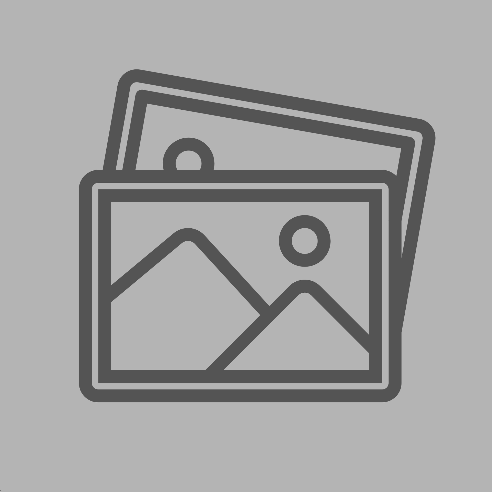 Gray outline icon of two overlapping photo frames with mountains and a sun