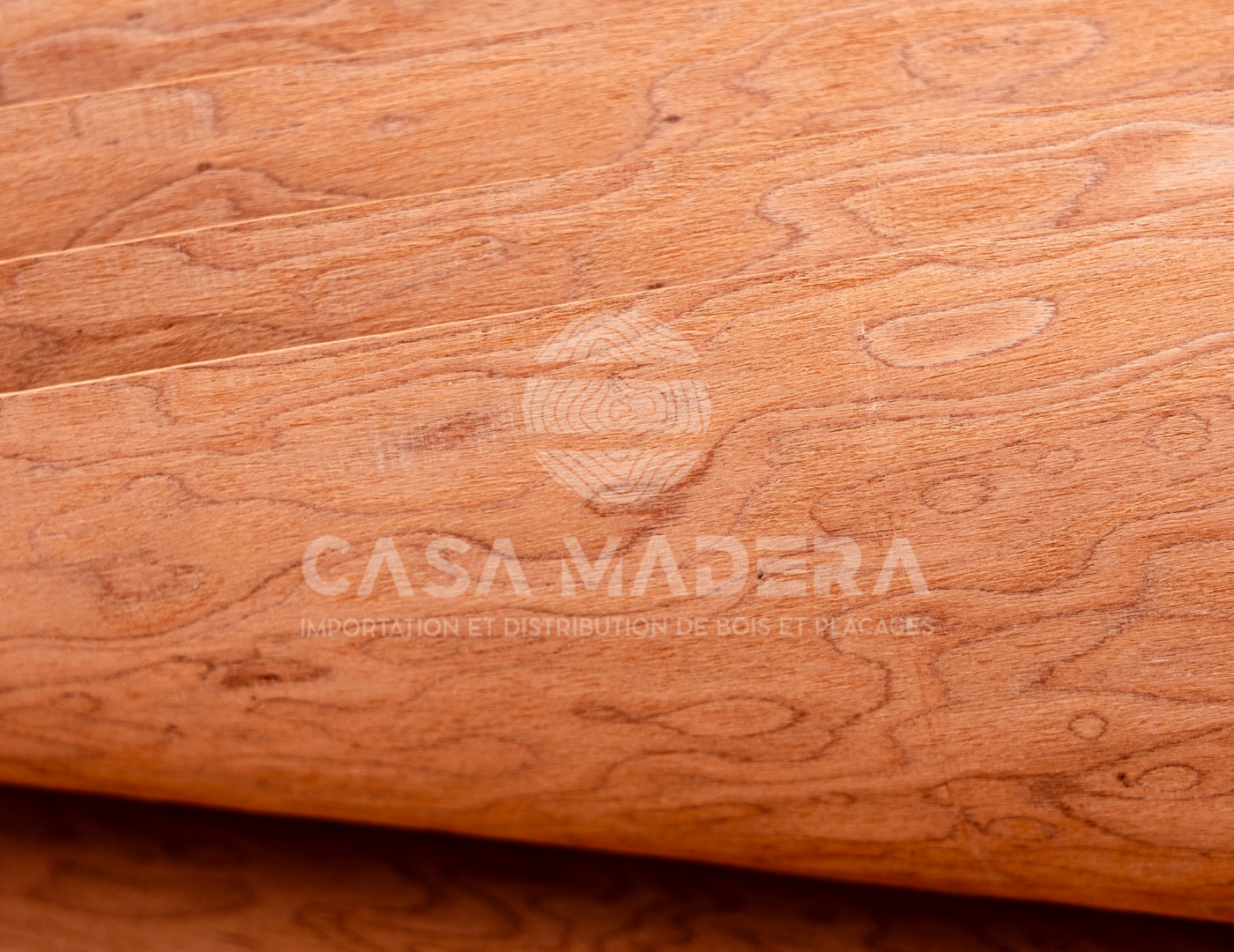 Détail Loupe Orange