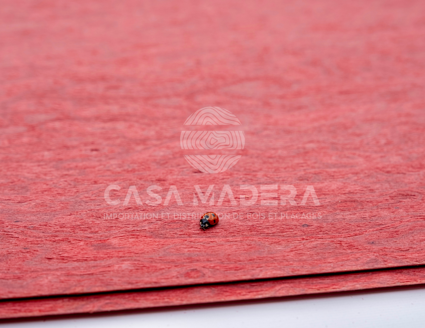 Gros Plan Loupe Sable & Rouge
