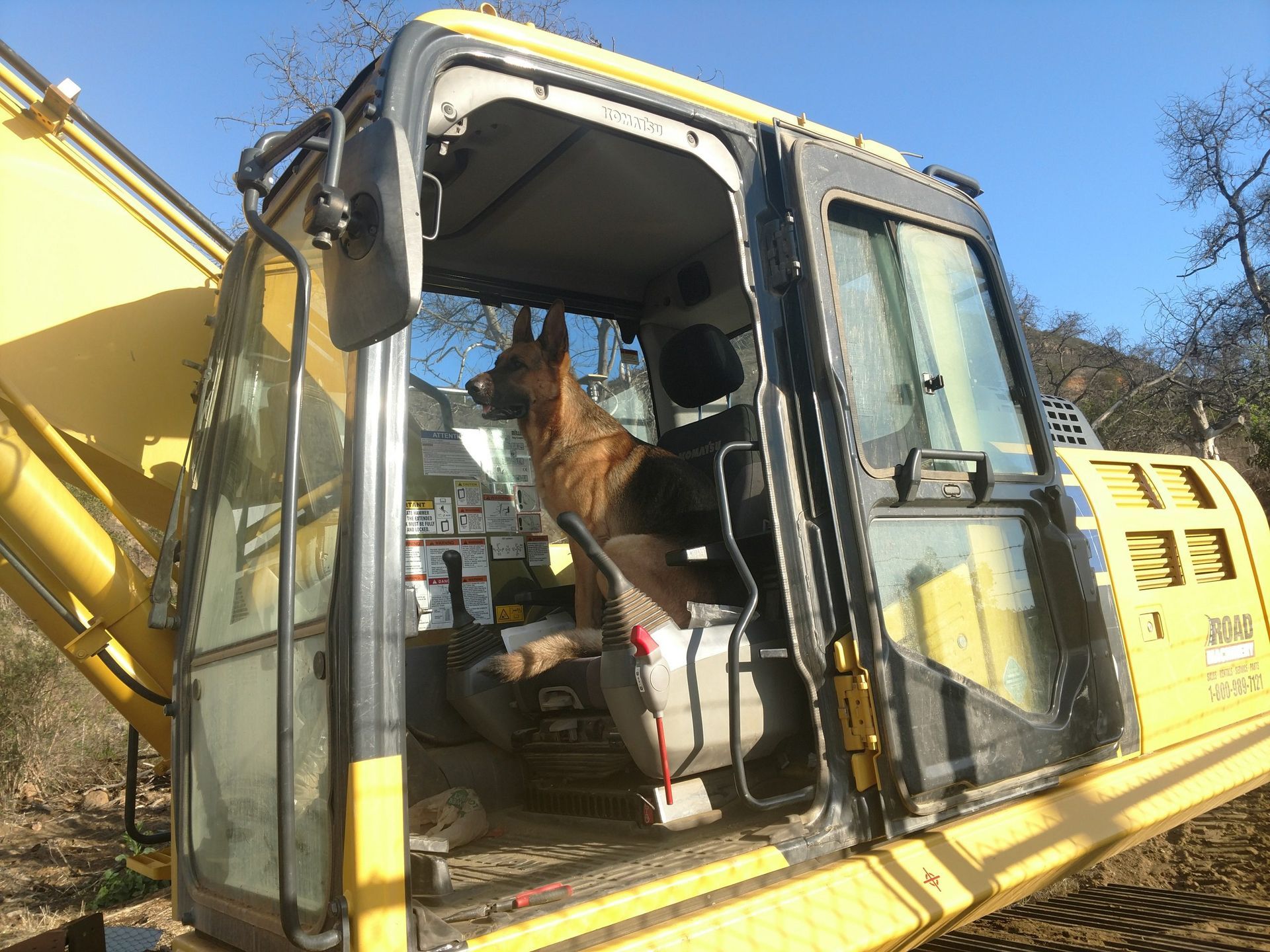 Dog sitting in the cab of a yellow construction excavator outdoors