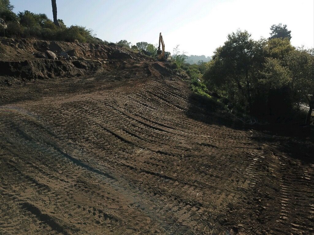 Terraced hillside with rows of freshly cut soil and trees under a bright sky