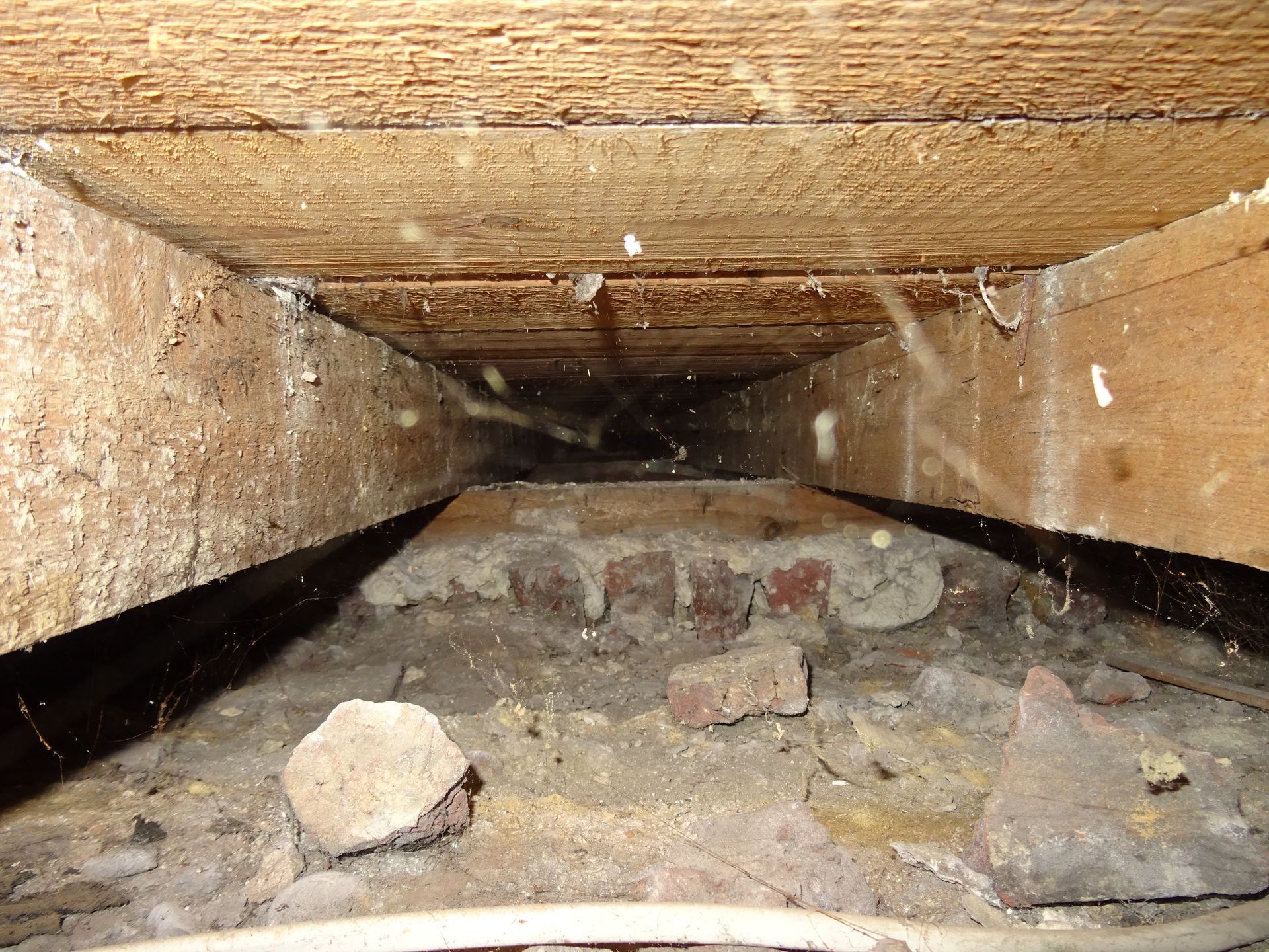 Under the timber floor