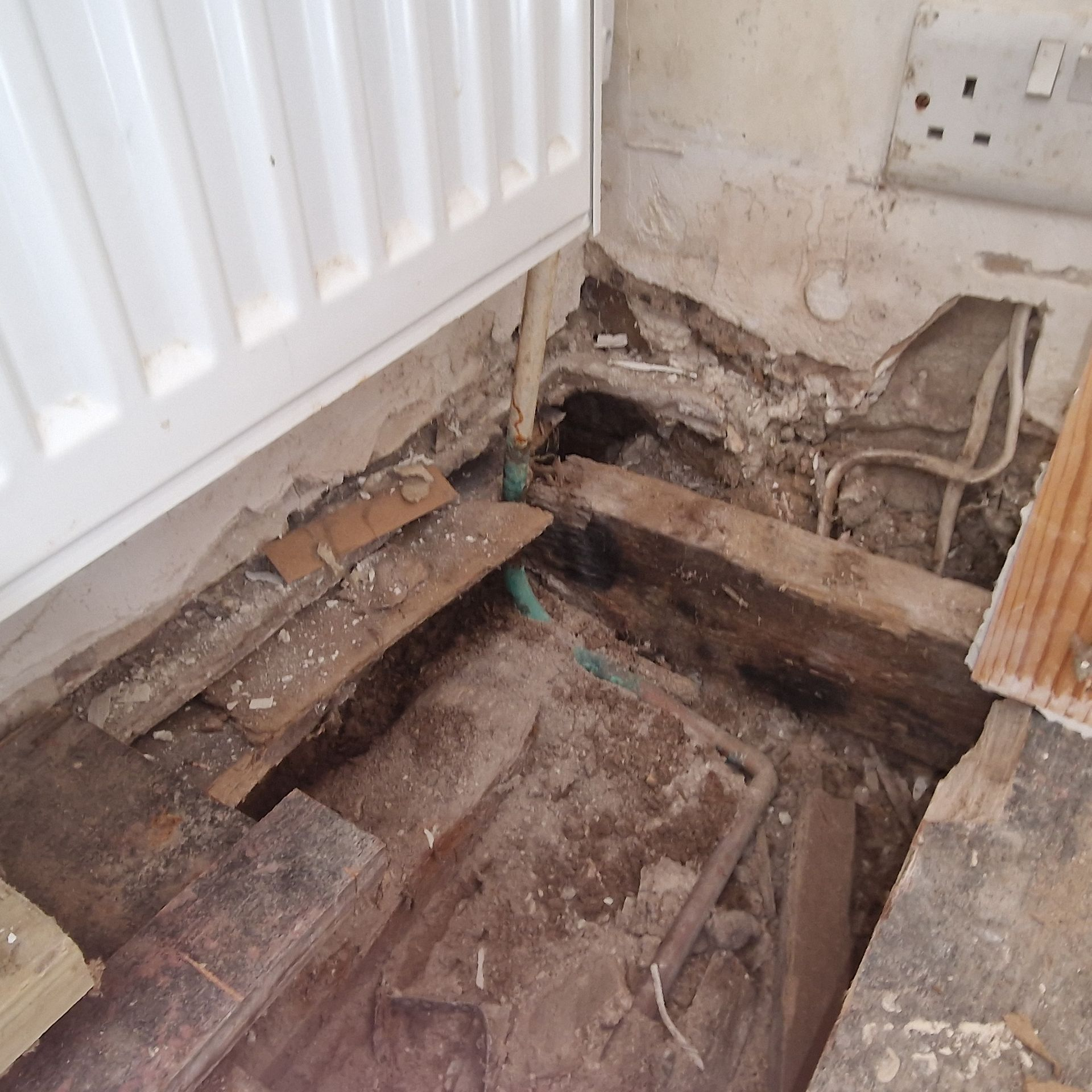 Survey damp and moisture
