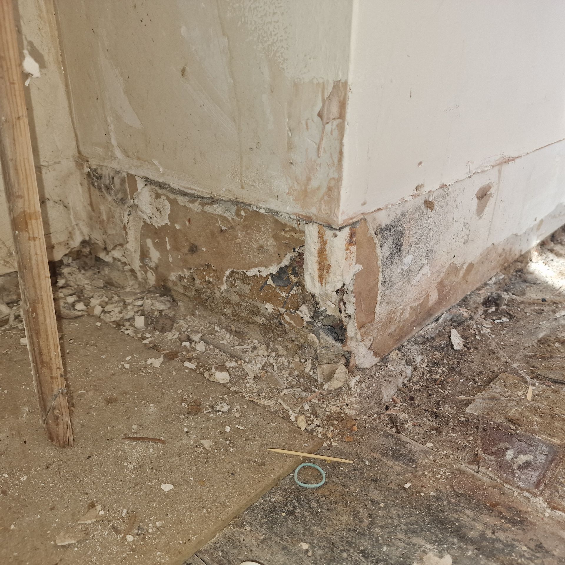 Poor damp proofing companies 
