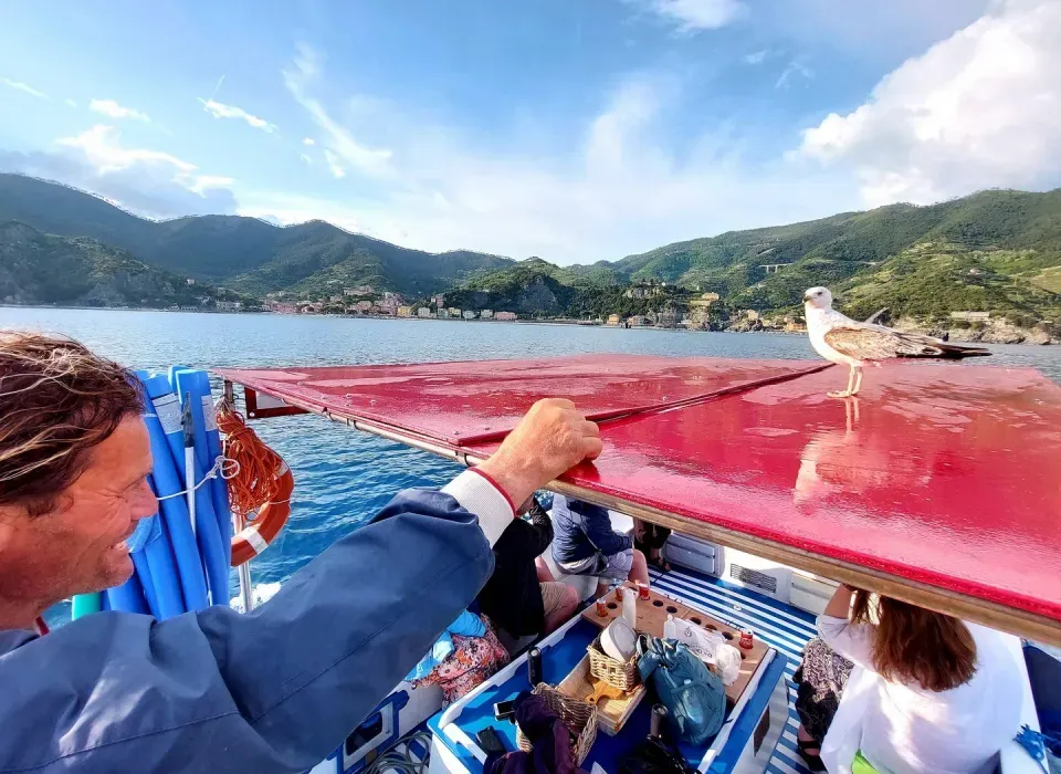Uomo su una barca con un gabbiano sul tetto rosso, con vista su un paesaggio costiero di montagne e mare blu Rosa dei Venti 5 terre boats Tours