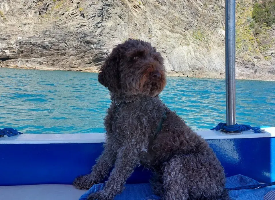cani ammessi tours Rosa dei Venti 5 terre boats Tours