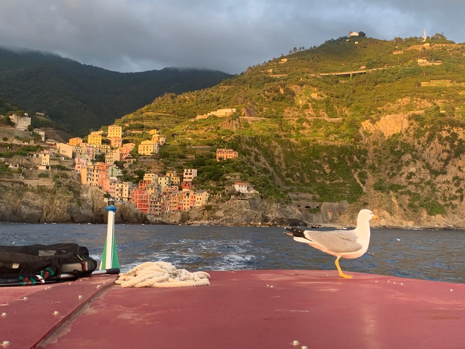 tour con apertivo cinque terre Rosa dei Venti Levanto