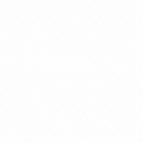 Animated number 20 composed of STAMP Event Co. client and event names