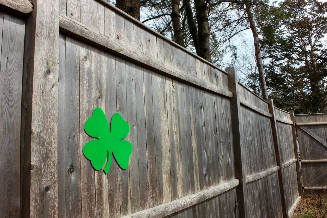Green shamrock decoration on a weathered wooden fence outdoors