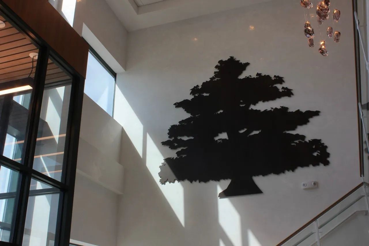 Modern interior with large black tree wall art and diagonal sunlight on white walls