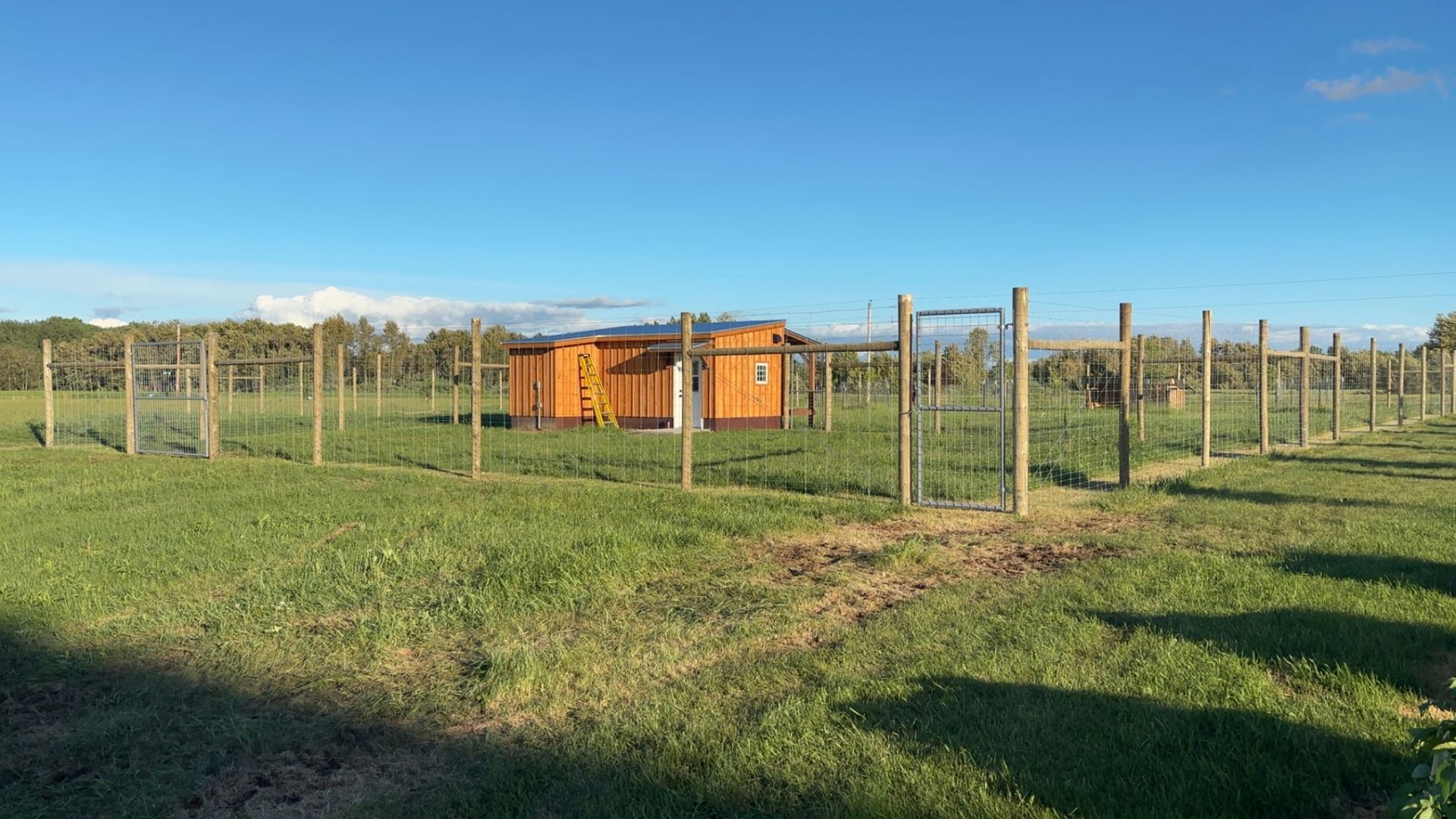 Deer Abatement Fence 