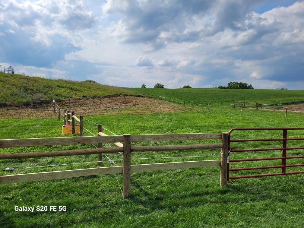 horse cattle fence