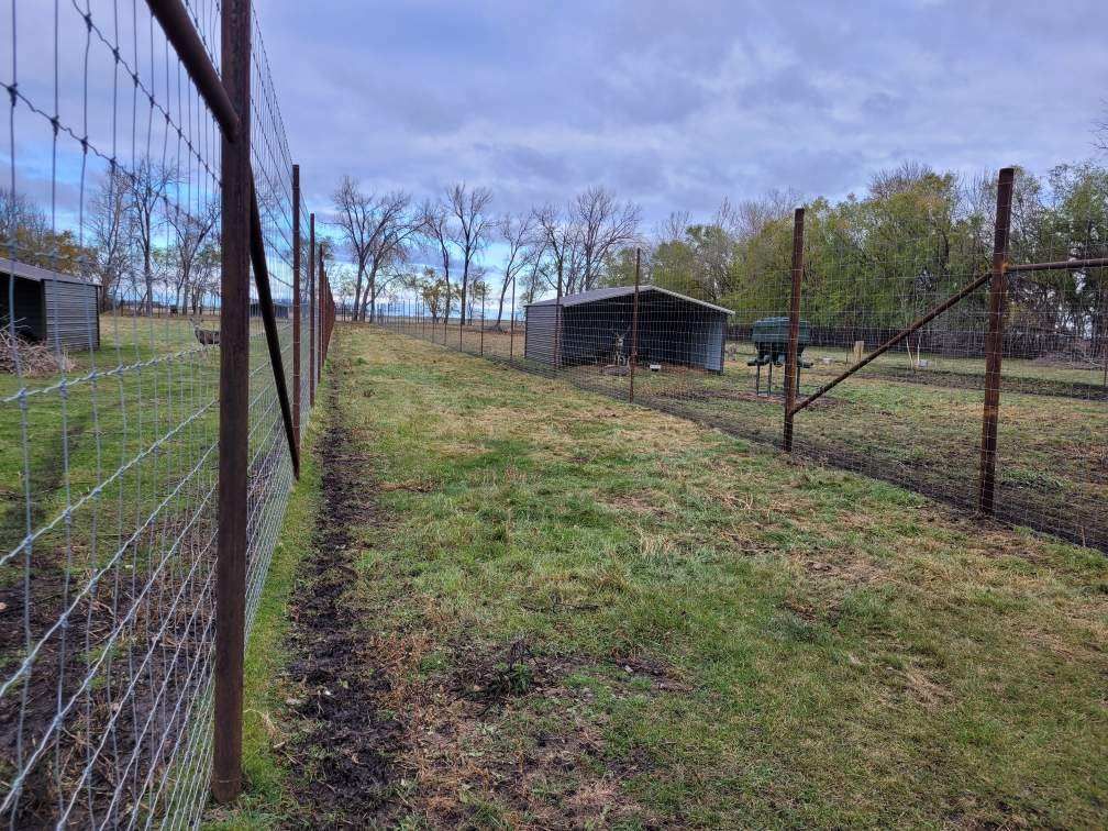 Deer Fence 