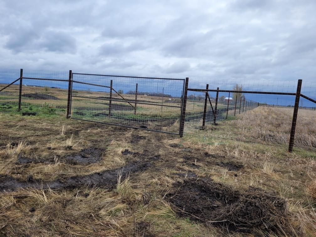 Deer Elk fence 