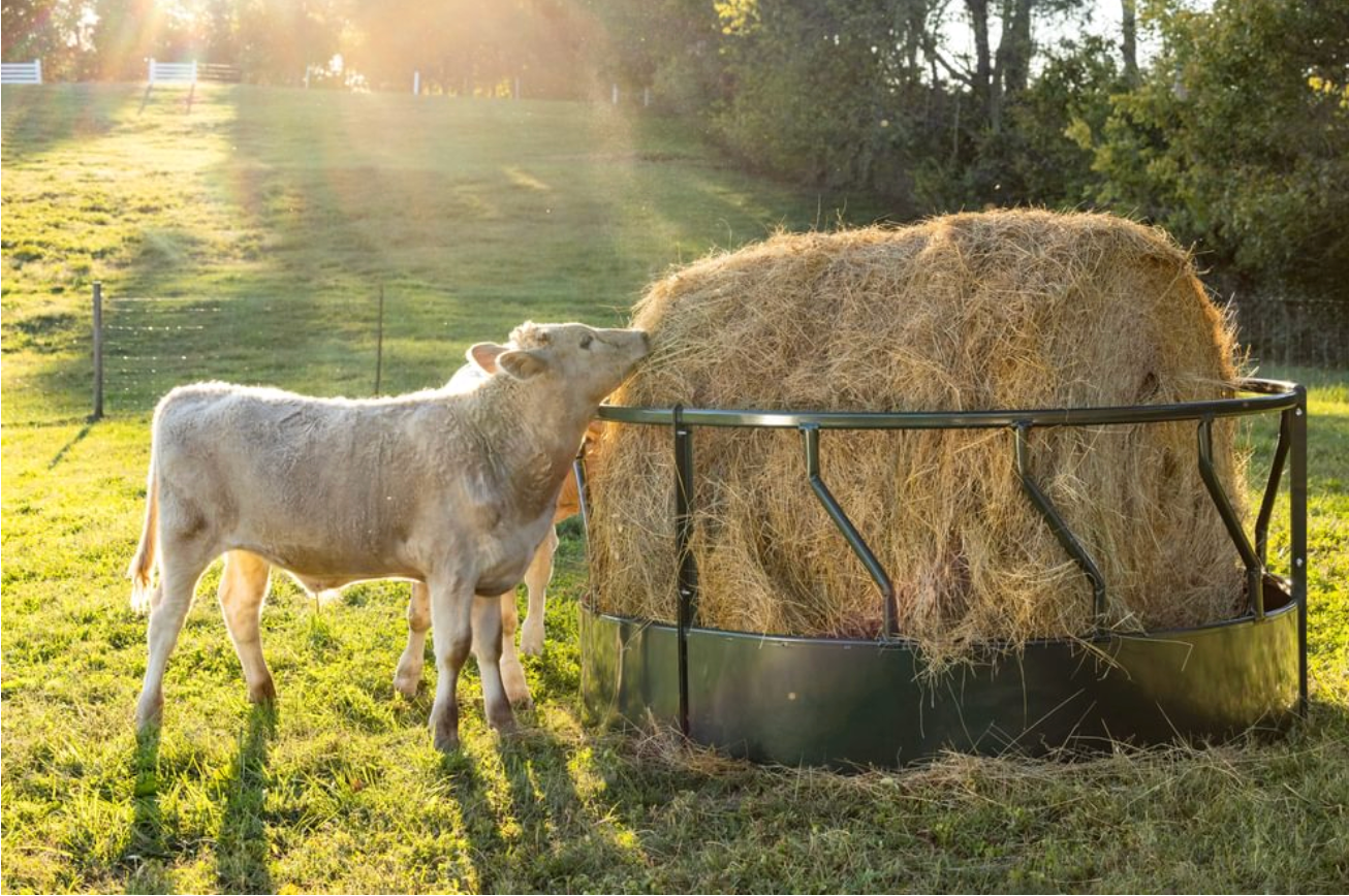 Round Bale Cattle Feeder HayGuard