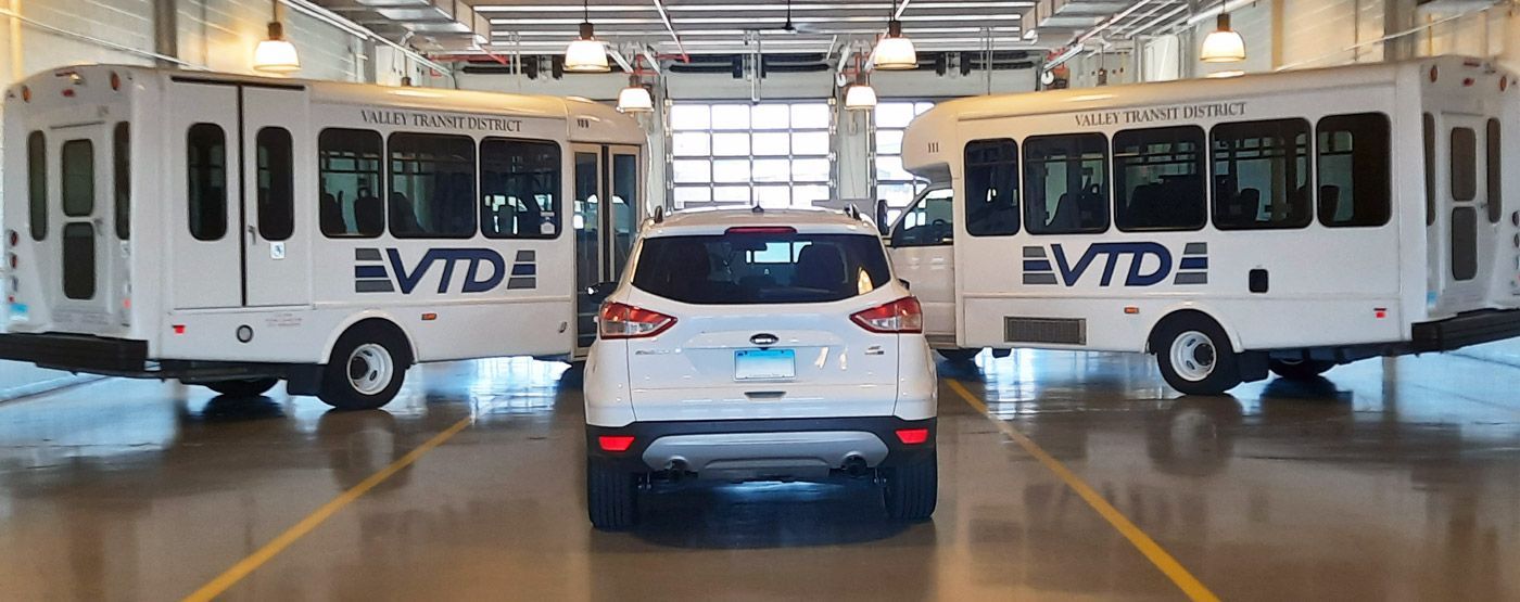 CT shared ride transit buses