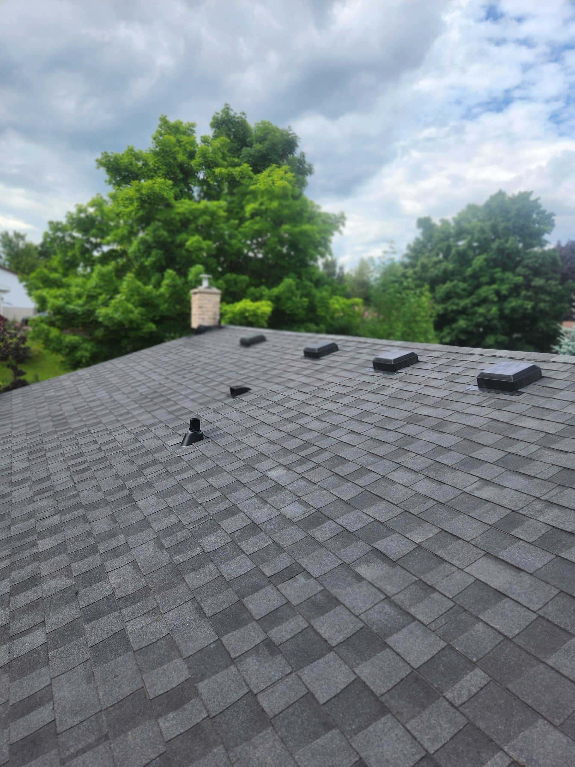 Gray shingled roof with vents and chimney under a cloudy sky, framed by green trees