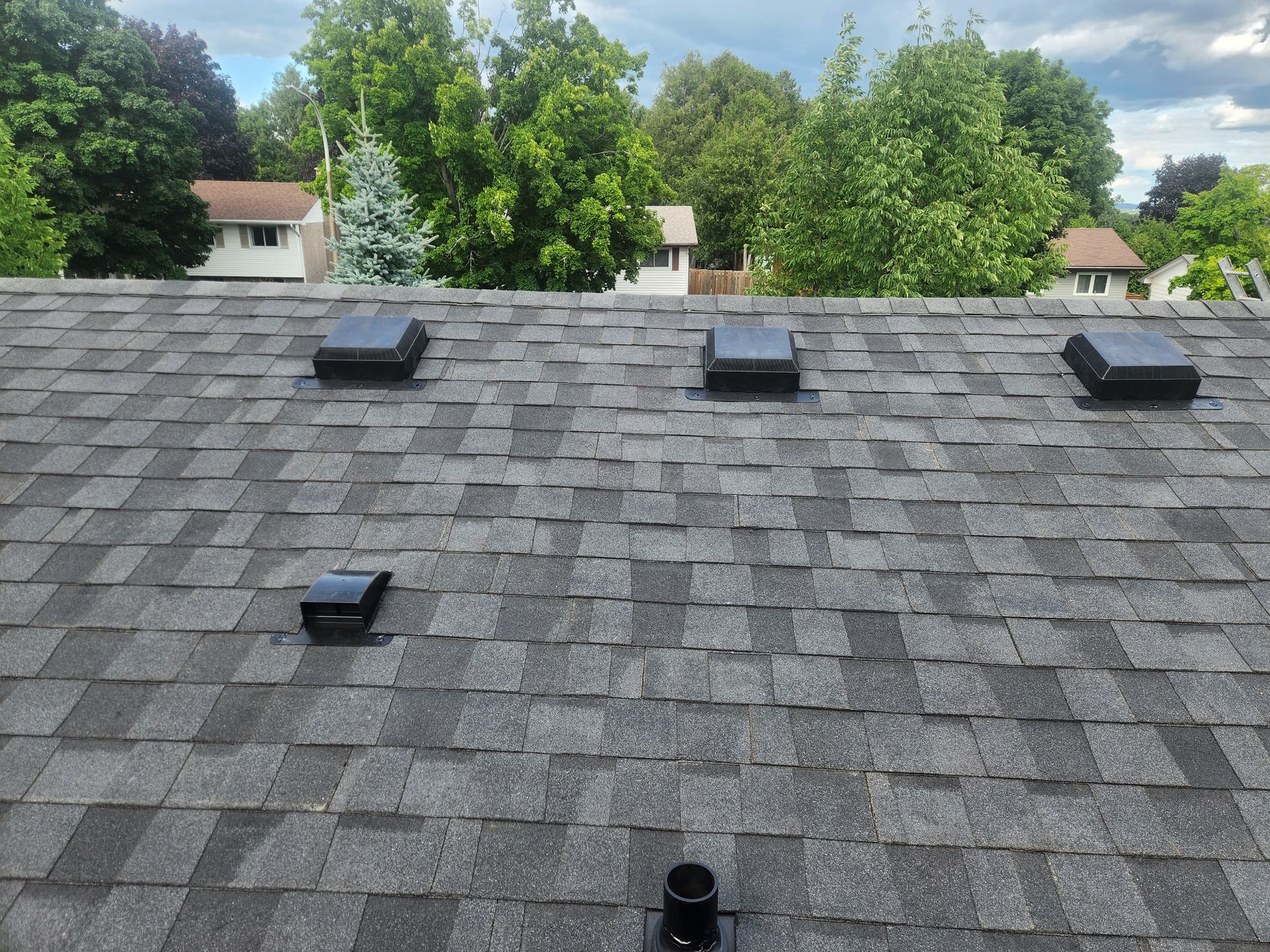 Gray shingle roof with vents and a chimney, trees and houses visible beyond the roofline