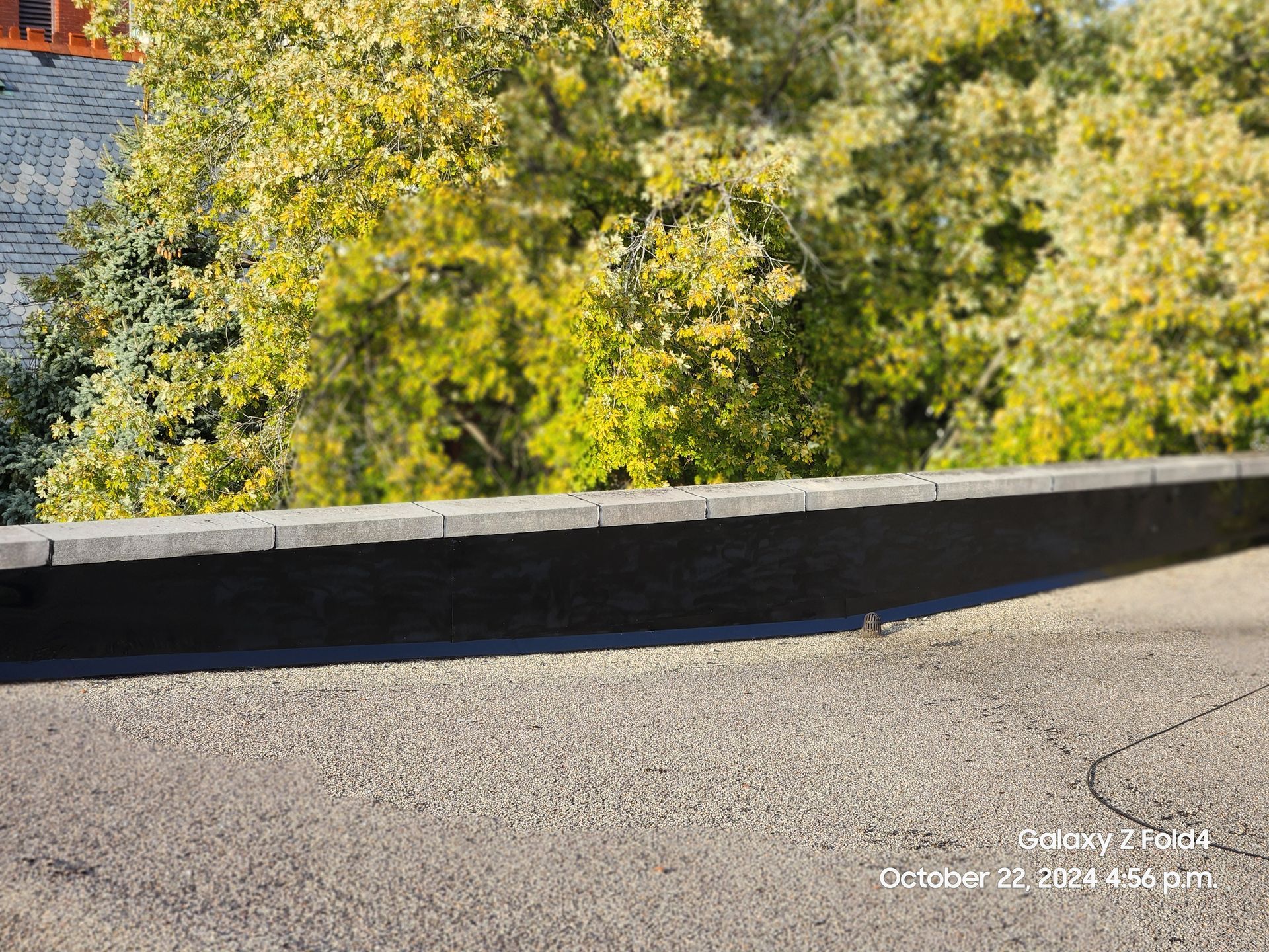 Roadside guardrail beside a tree-lined slope in sunlight