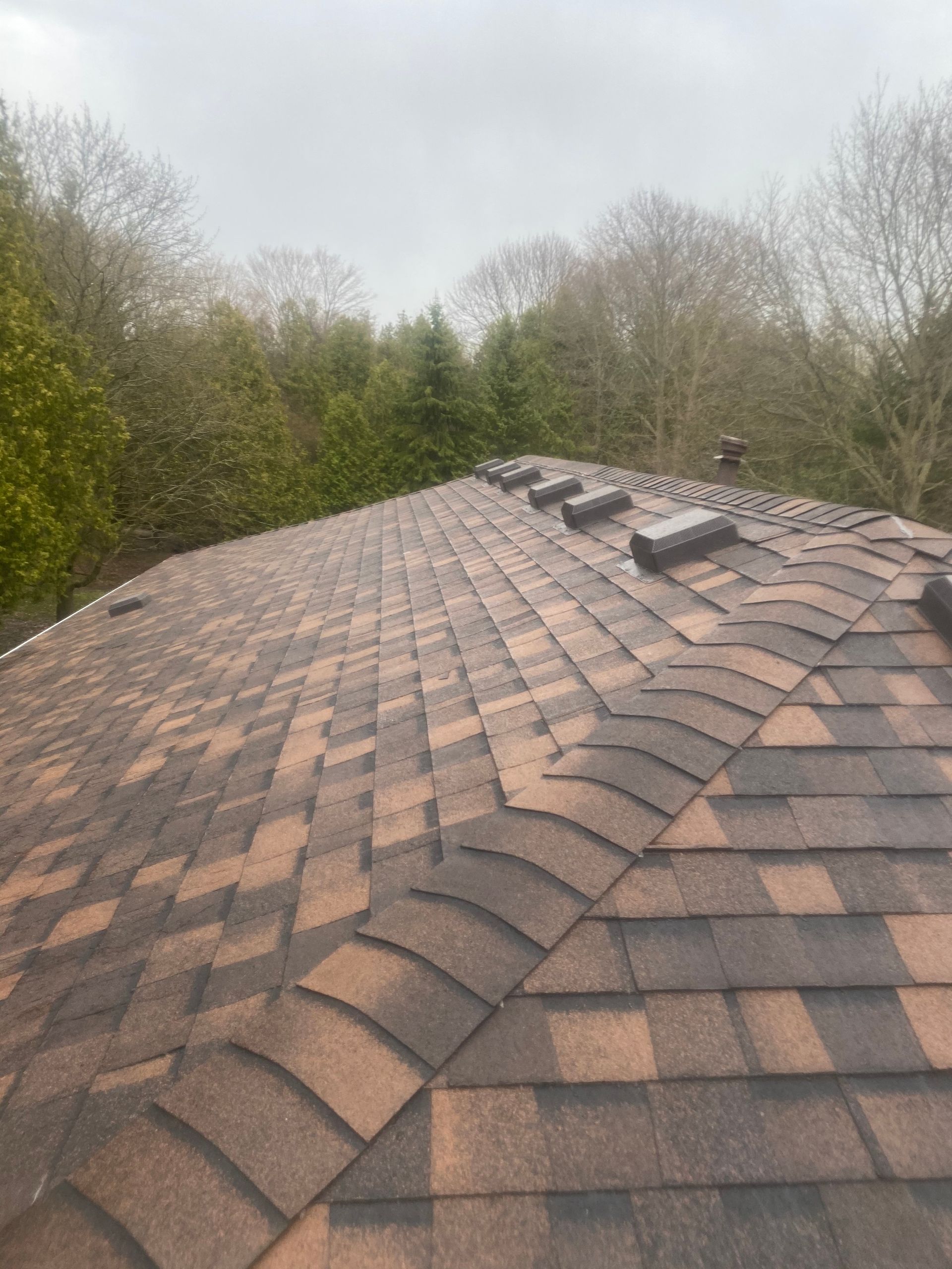 Brown shingled roof with several skylights, viewed from above, with trees in the background