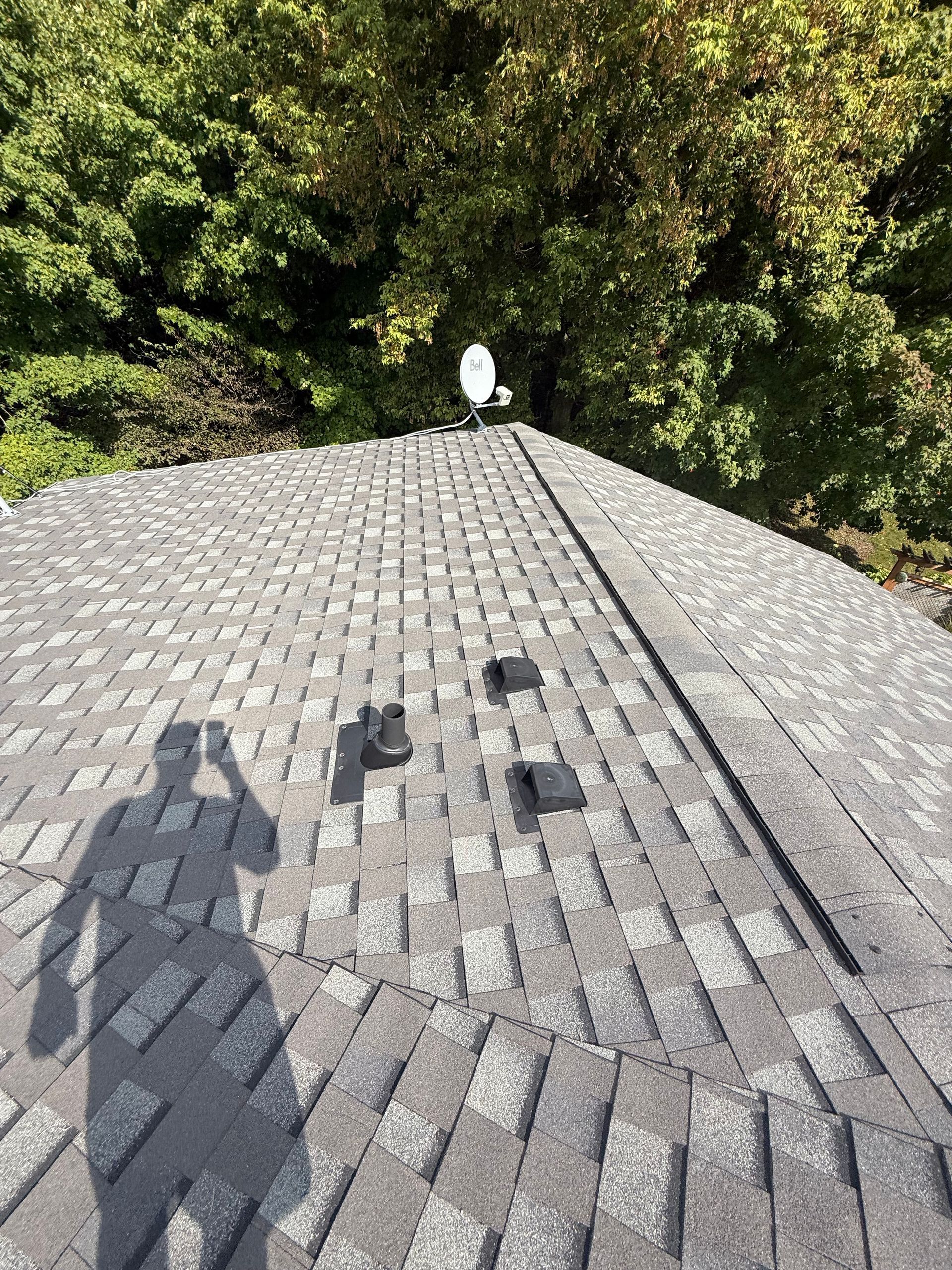 Shadow of a person on a shingled roof with a white satellite dish and trees in the background