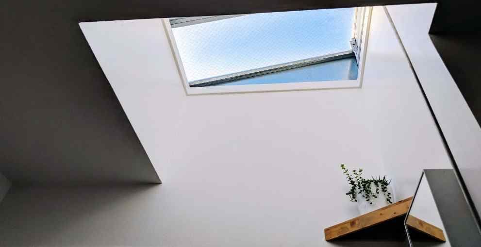 Skylight in a white ceiling, with a small potted plant on a shelf below and dark walls framing the view
