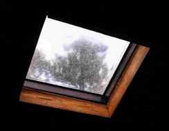 View through a skylight window of a tree against a cloudy sky