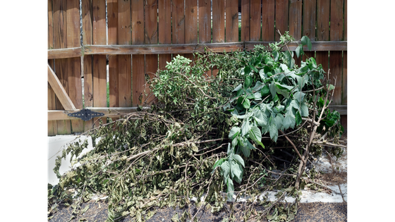 yard waste clean up elizabeth nj