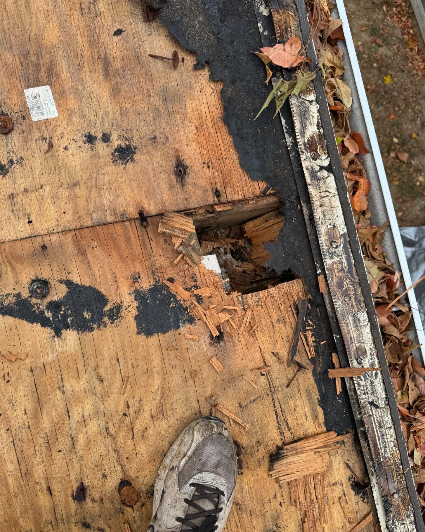 Damaged plywood roof with a large hole, black tar patches, and a work boot at the bottom edge