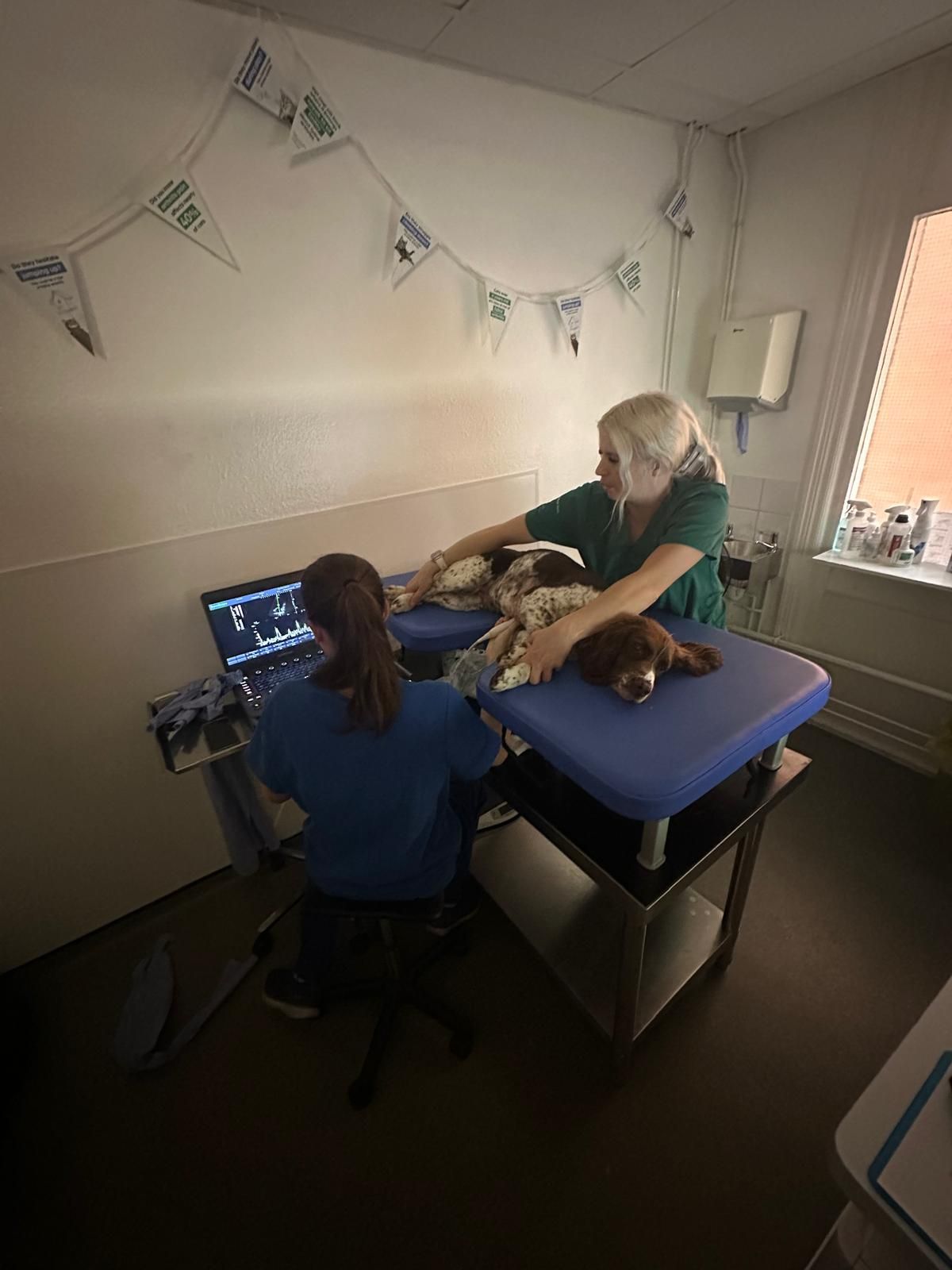 https://www.sonovet.co.uk/