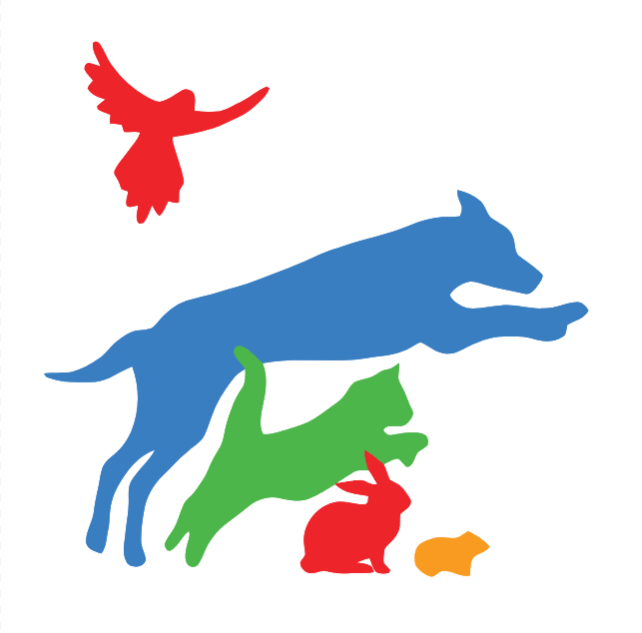 flying animals
