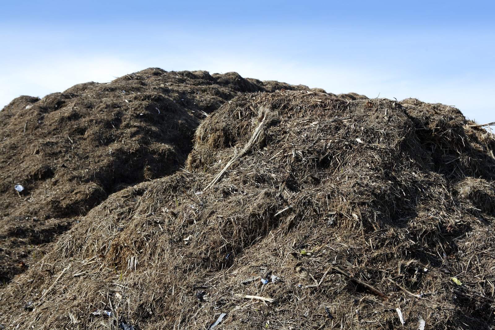 many compost in the ground