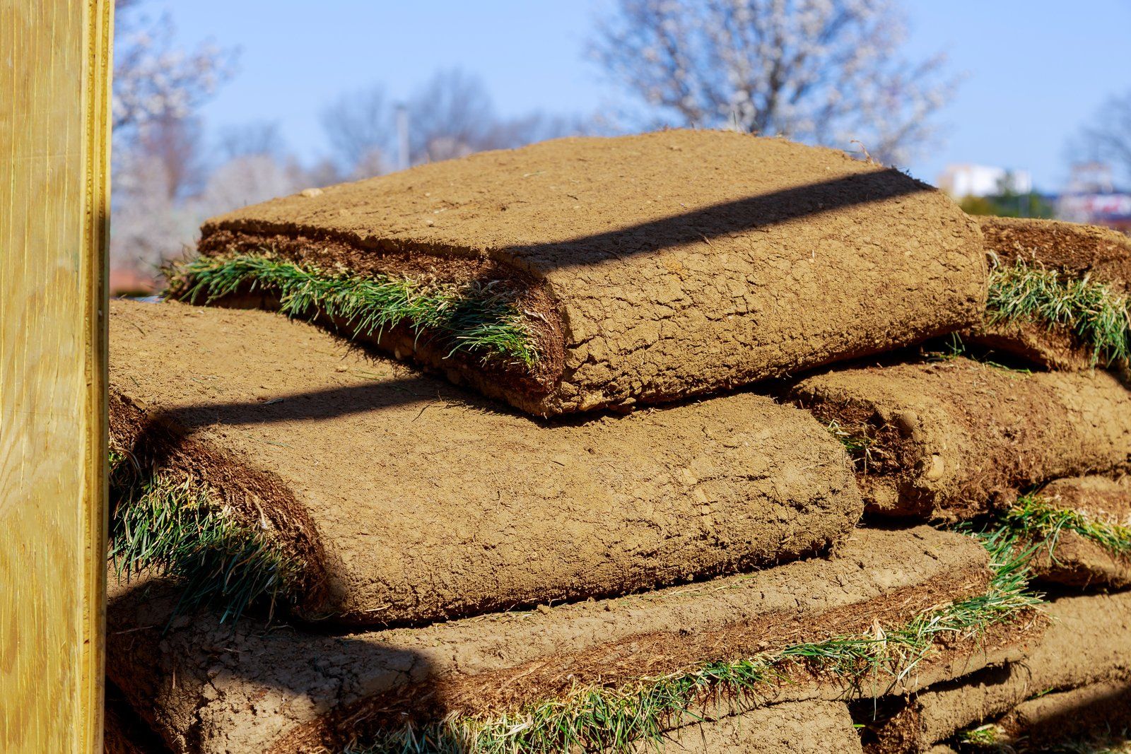 pile of grass roll