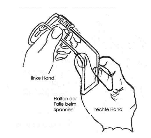 Augsburger Kippbügelfalle Wühlmausfalle Wolf