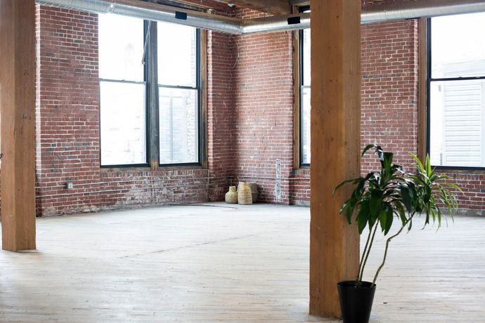 there is a plant in the middle of the room .