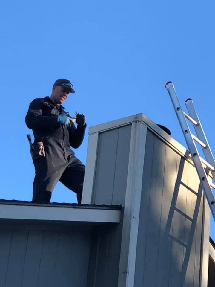 A man is standing on the roof of a building next to a ladder.