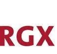 RGX Kitchen sinks