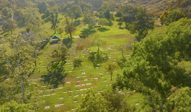 an aerial view of a cemetery surrounded by trees and grass .