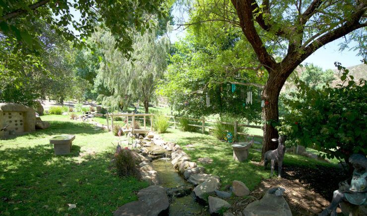 a stream running through a park surrounded by trees and rocks .