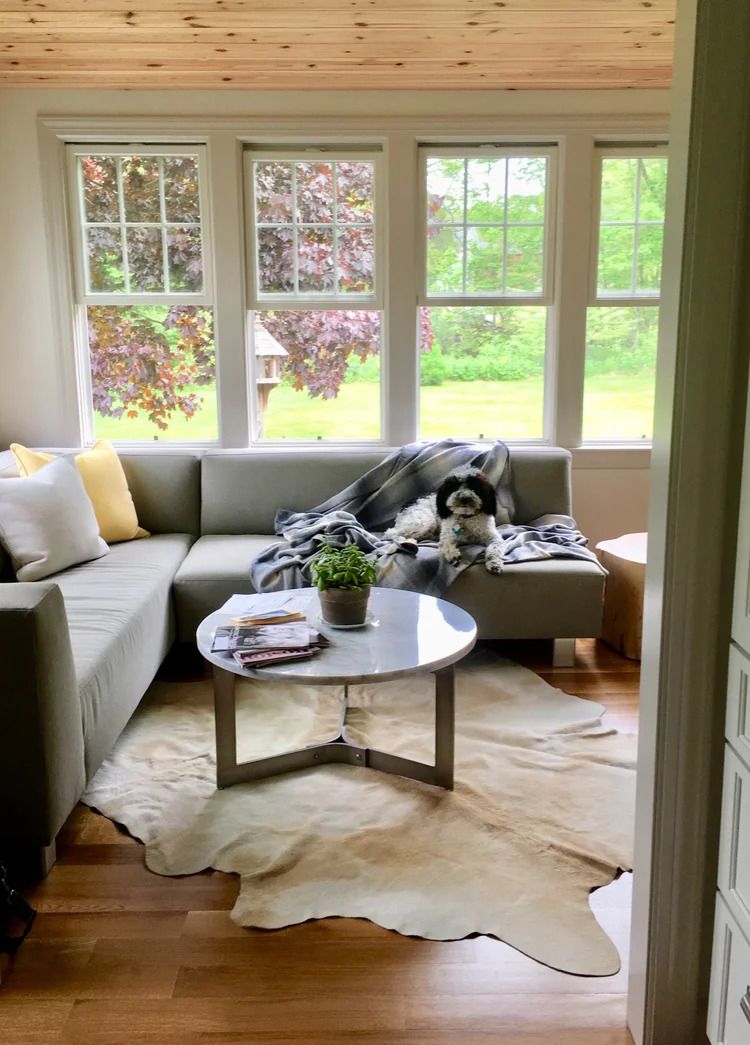Cozy living room with sectional sofa, cowhide rug, round coffee table, and multiple windows overlooking greenery.