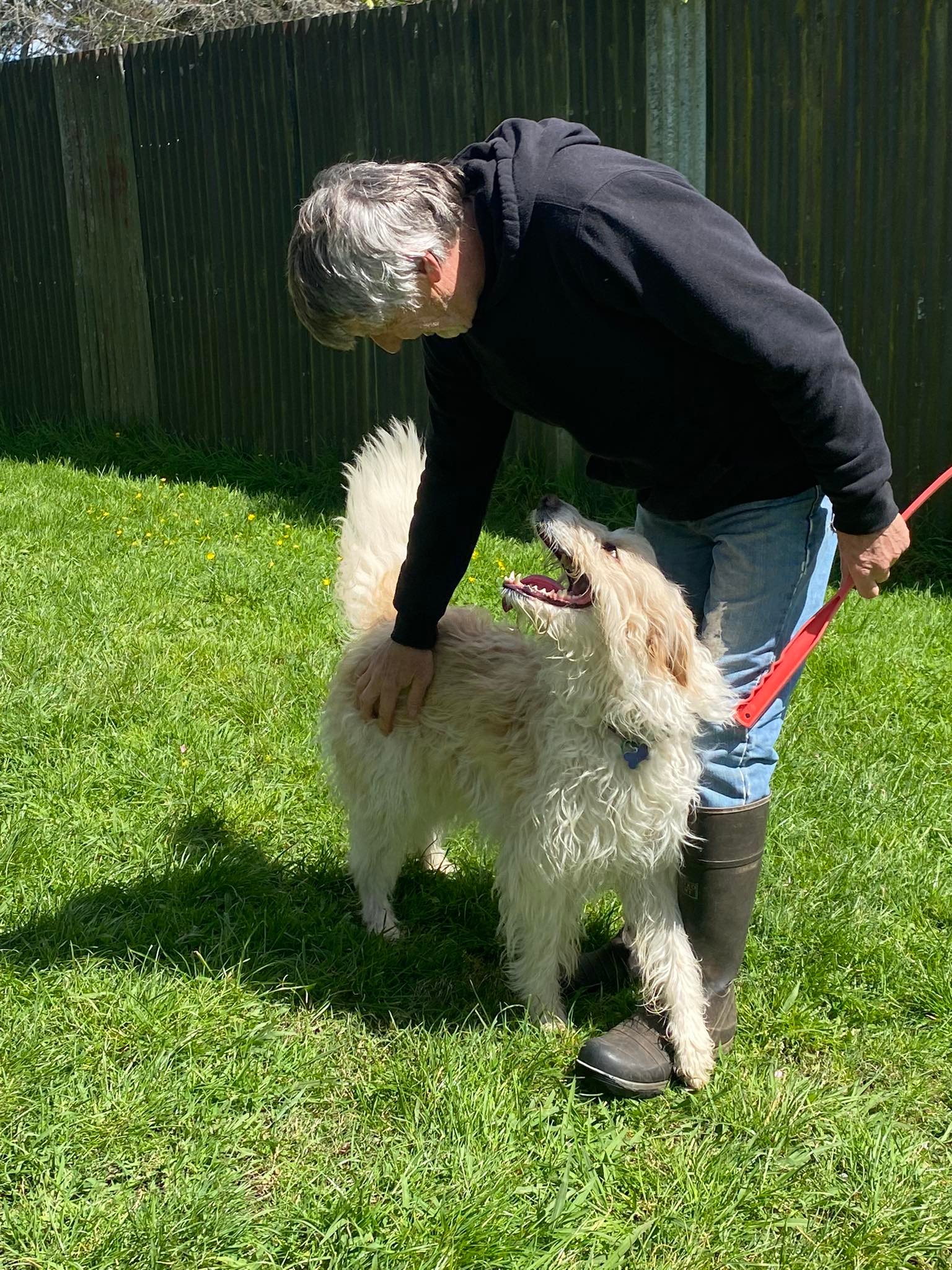 Kennel Waikato, NZ Brackendell Boarding Kennels & Cattery
