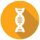 橙色圓圈上的 DNA 螺旋圖示。