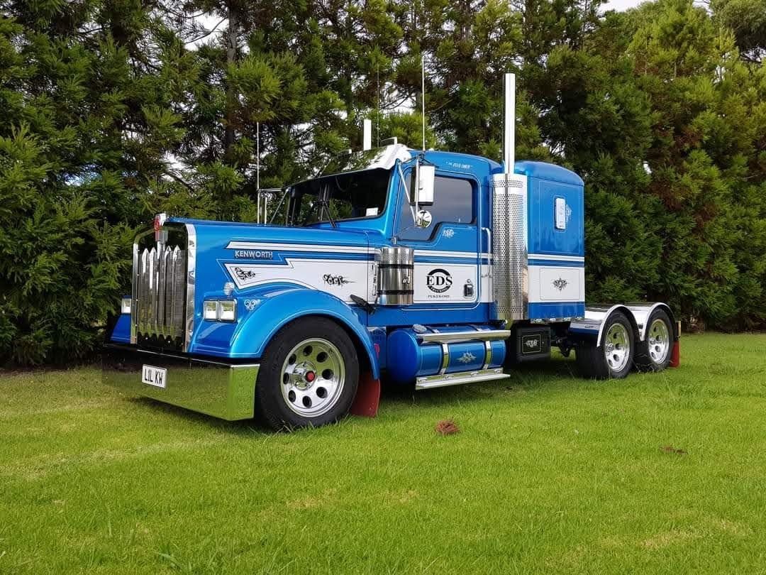 Blue Kenworth semi-truck parked on green grass with trees in the background.