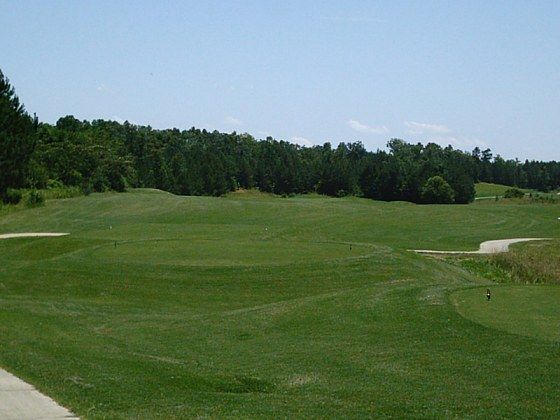 A lush green golf course with trees in the background