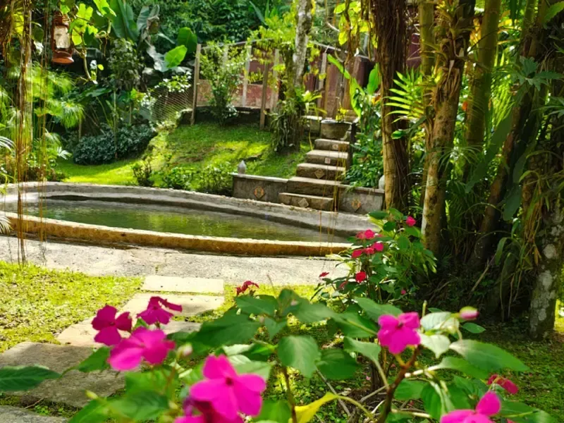 Caminho de jardim exuberante com degraus de pedra, vegetação tropical e flores rosa vibrantes em primeiro plano.